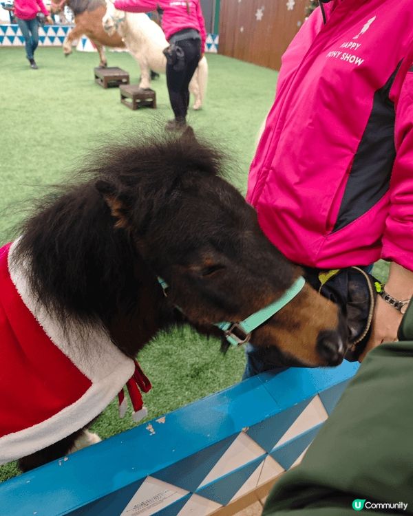 Northern Horse Park 北國優駿公園