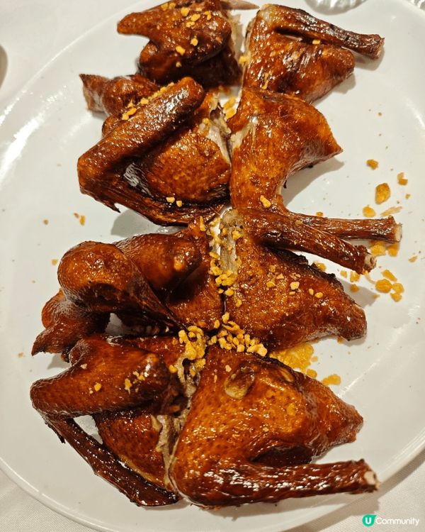 而家最鍾意去酒樓食晚飯