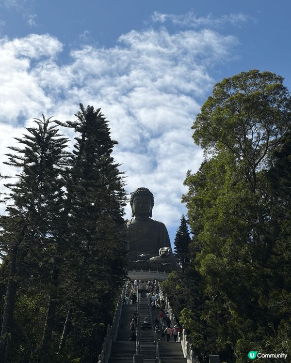 這是昂坪 可以選擇親子行郊遊徑上去 或者搭昂坪360