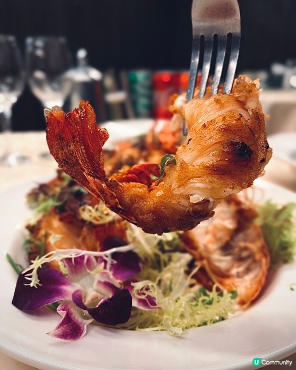 隱世私房菜🥢13年中菜老字號！粵菜海鮮宴🤤