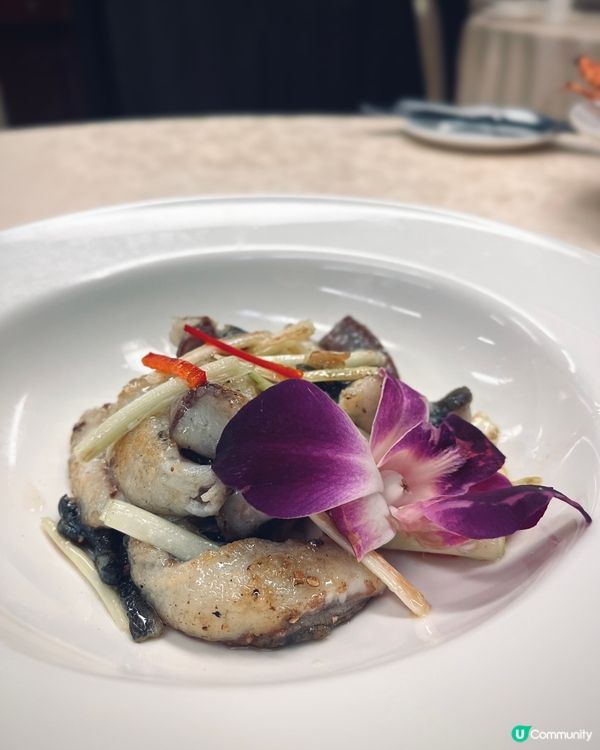 隱世私房菜🥢13年中菜老字號！粵菜海鮮宴🤤