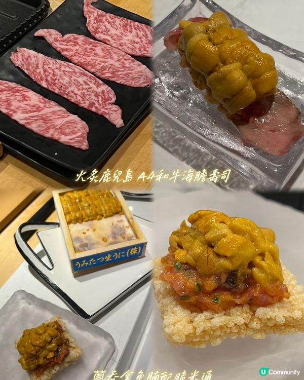 🍣銅鑼灣超寧靜Omakase