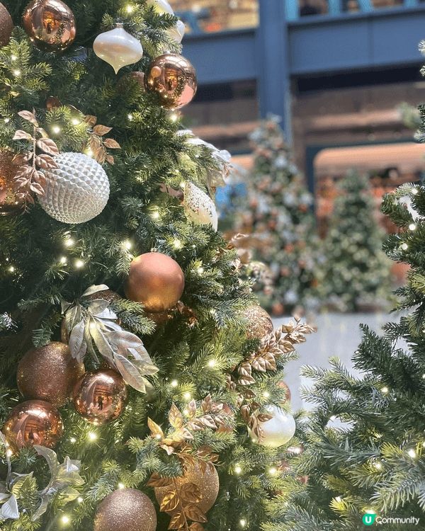 南豐紗廠聖誕🎄