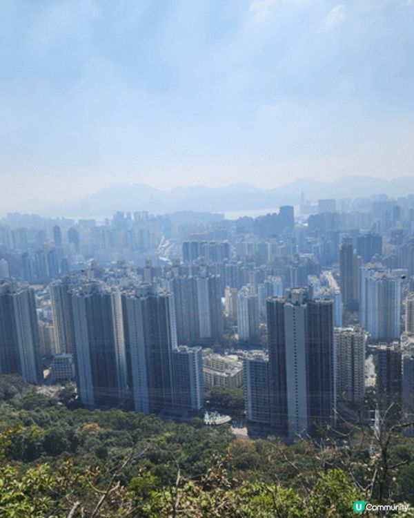 假日由慈雲山沙田坳上行山，吸收新鮮空氣，賞心樂事