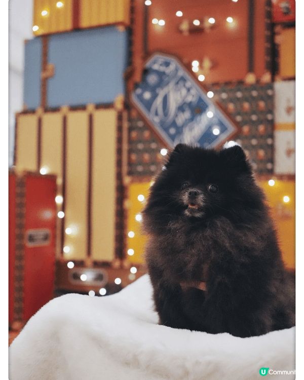 金鐘pacific place每年聖誕節都係Number 1...