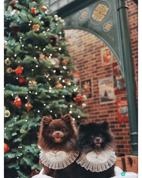 金鐘pacific place每年聖誕節都係Number 1...