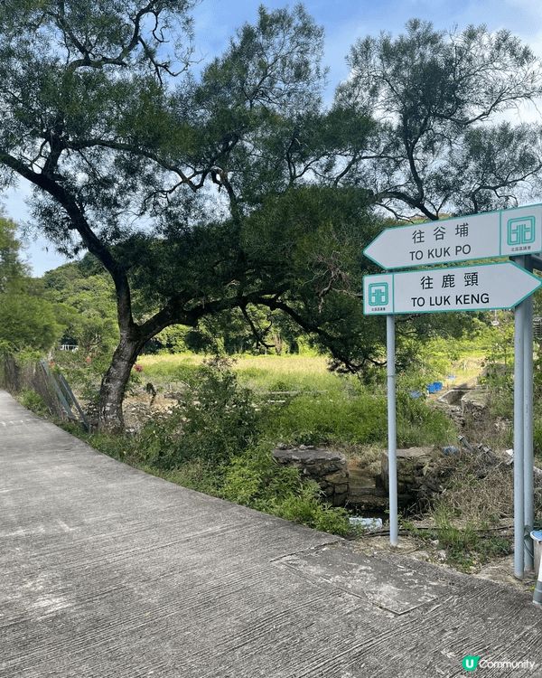 鹿頸至谷埔親子郊遊路徑主要是平坦的道路，有上下樓梯的路程但佔...
