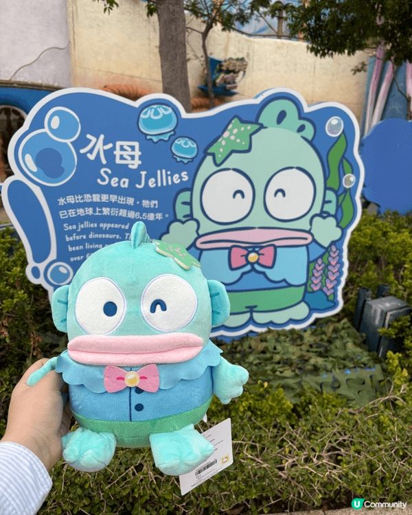 去海洋公園的照片，記錄有趣的生活