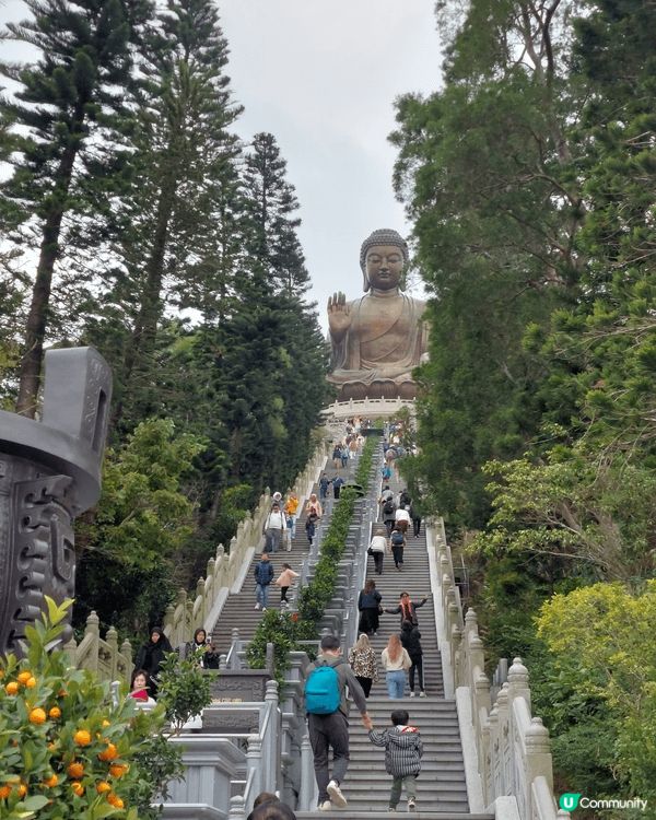 一家坐昂平360 去睇大佛 小朋友可以挑戰 完成行上大佛的樓...
