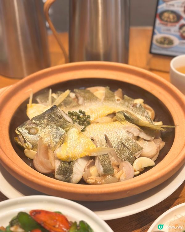 莆田聖誕大餐😋！扁肉湯必試！🍲