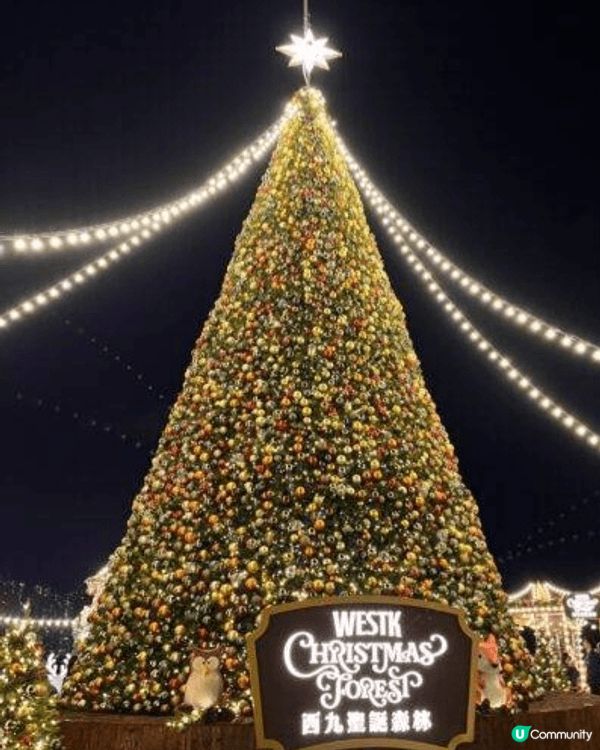 圍繞著巨型聖誕樹，西九聖誕森林佈置了超過  六十棵飾有燈光的...