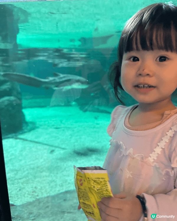 親子好去處一定係去海洋公園睇海洋生物（鯊魚，魔鬼魚，海豚，海...