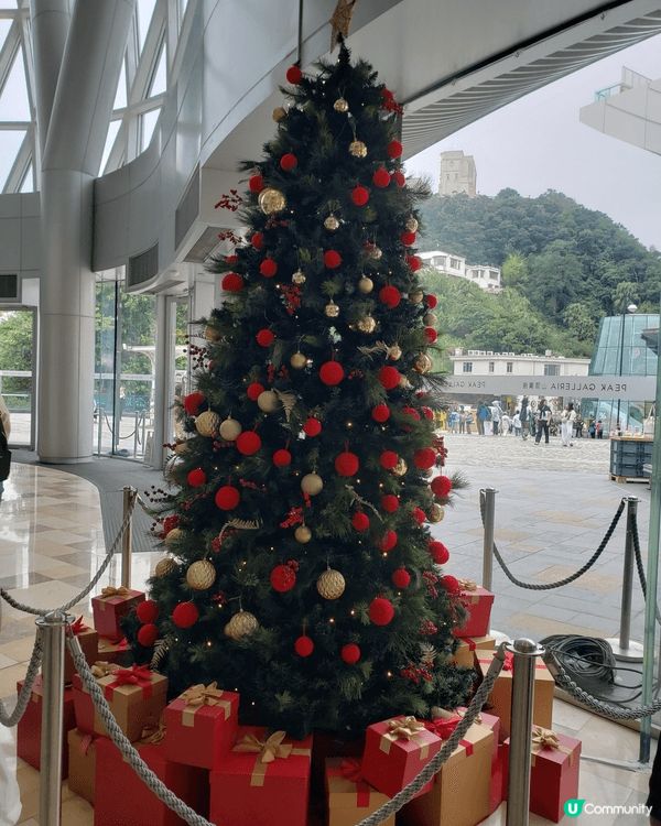 工展會，中環摩天輪，AIA嘉年華會，西九龍文化區，海洋公園，...