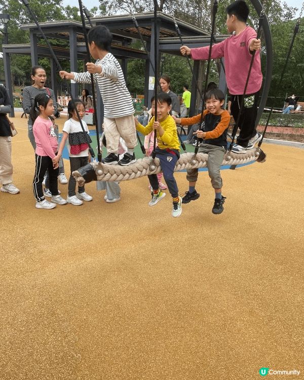 小朋友最愛盪鞦韆，這個鞦韆更可以跟三五知己一齊玩，年紀比較大...