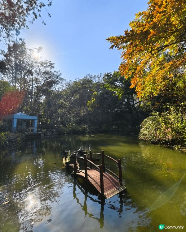 如果大家有時間帶小朋友去荃灣城門谷公園同埋石圍角麥當勞參觀全...
