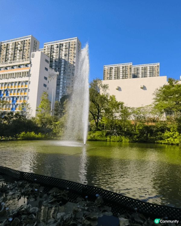 如果大家有時間帶小朋友去荃灣城門谷公園同埋石圍角麥當勞參觀全...