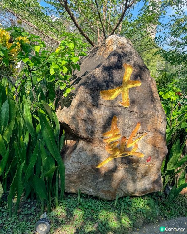 台南打卡必去！十鼓文創園區｜鼓樂+光影藝術！
