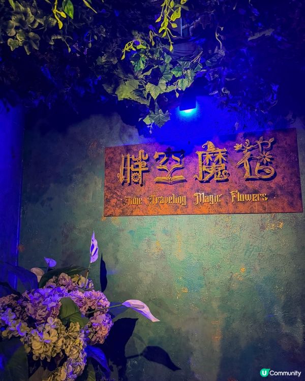台南打卡必去！十鼓文創園區｜鼓樂+光影藝術！