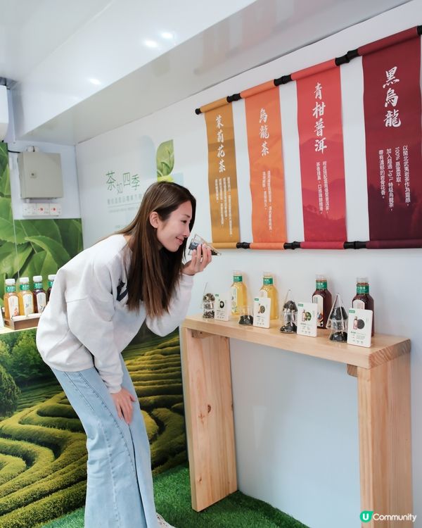 🍃茶如四季 | 東方樹葉流動茶館