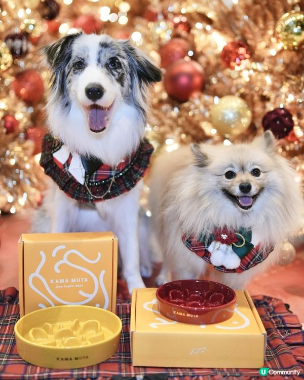 聖誕禮物🎁毛孩慢食碗！健康又可愛！🐶