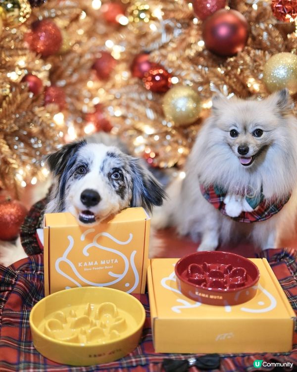 聖誕禮物🎁毛孩慢食碗！健康又可愛！🐶