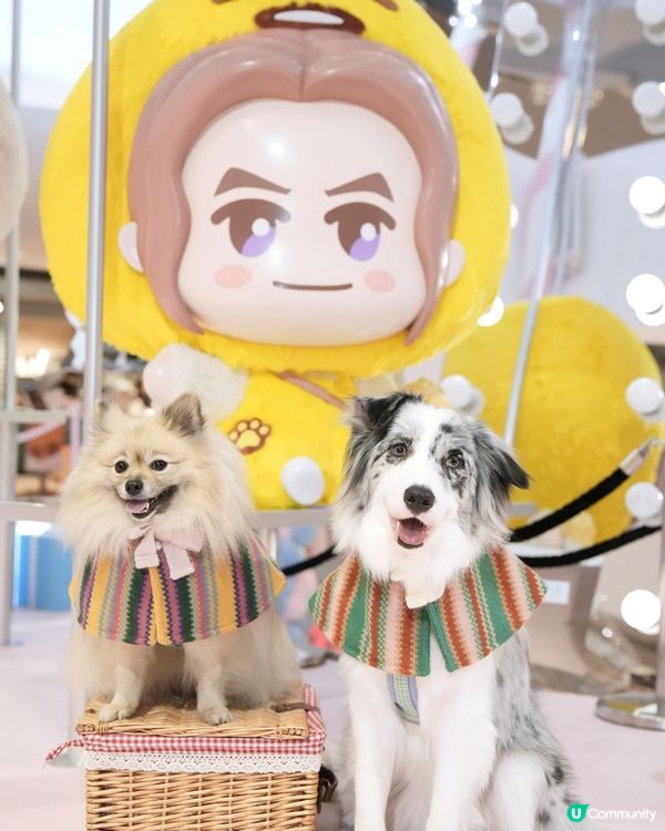 1.  又一城打卡！見唔到都支持！🥺💖