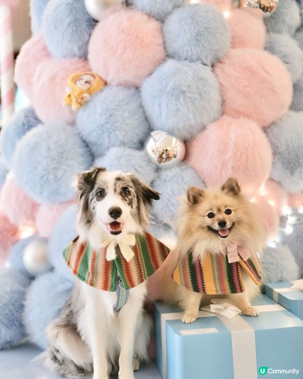 1.  又一城打卡！見唔到都支持！🥺💖