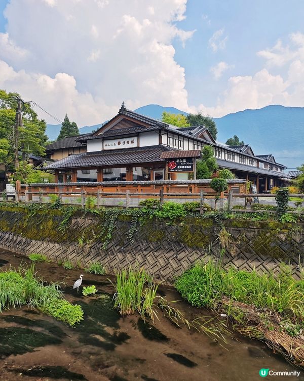 由布院🏮夢幻秘境✨金鱗湖