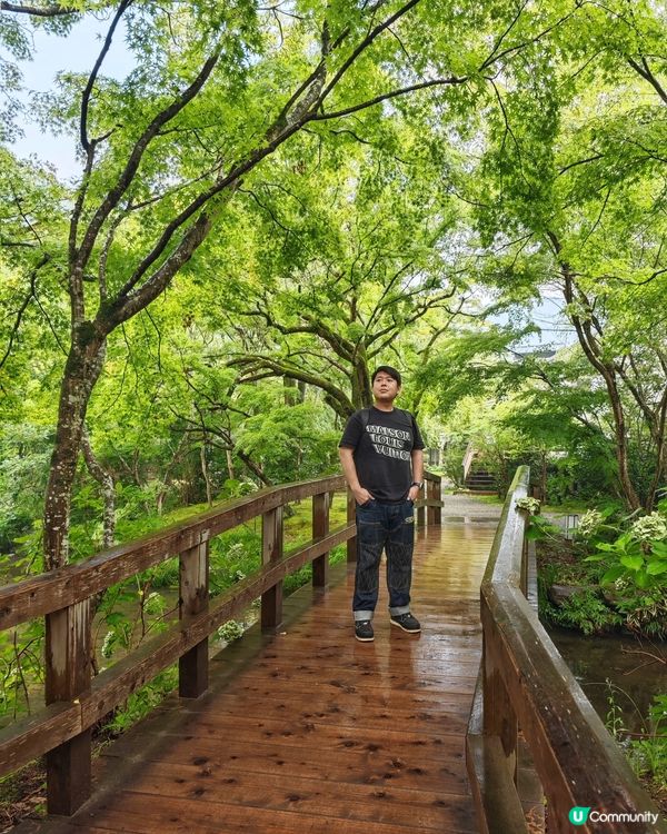 由布院🏮夢幻秘境✨金鱗湖