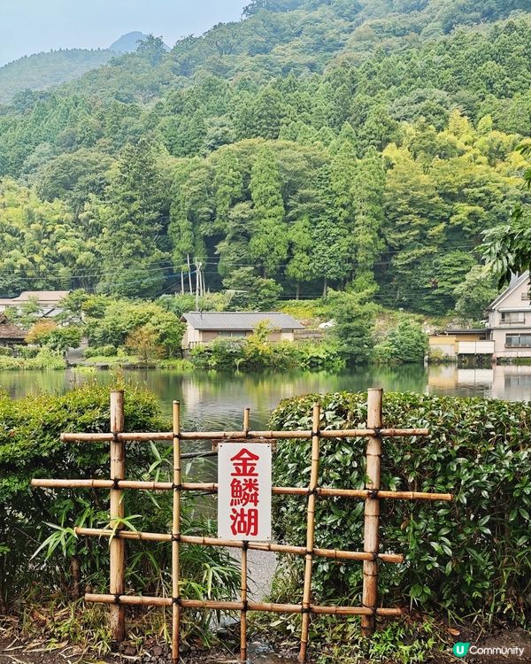 由布院🏮夢幻秘境✨金鱗湖