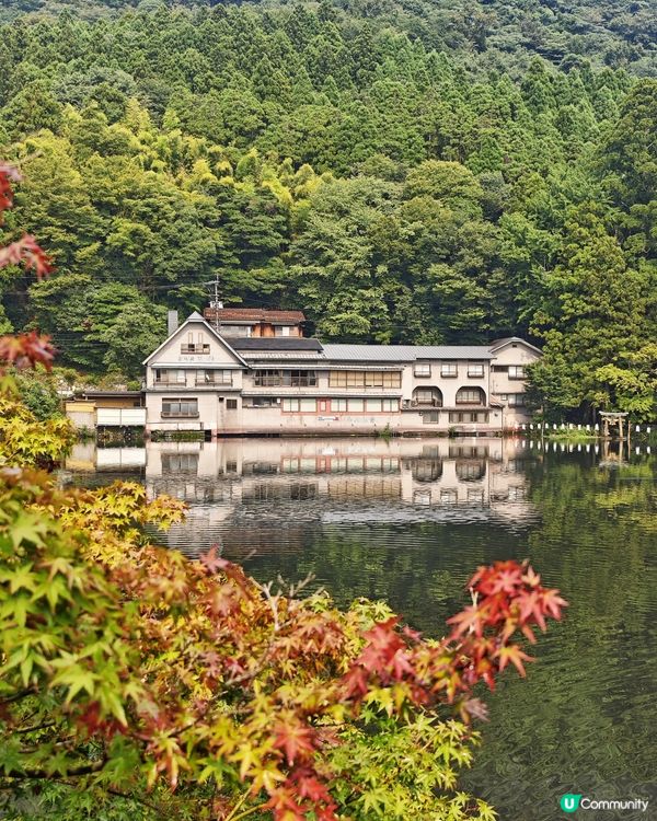 由布院🏮夢幻秘境✨金鱗湖