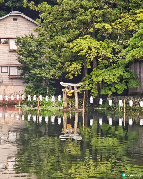 由布院🏮夢幻秘境✨金鱗湖