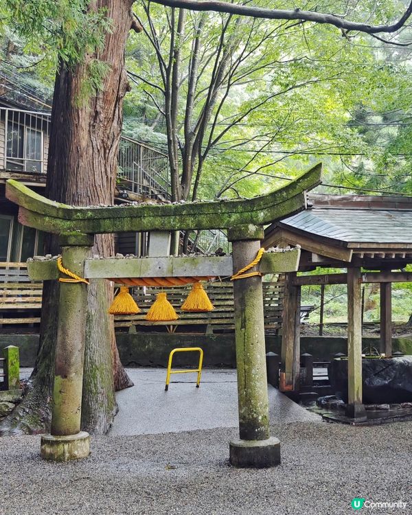 由布院🏮夢幻秘境✨金鱗湖