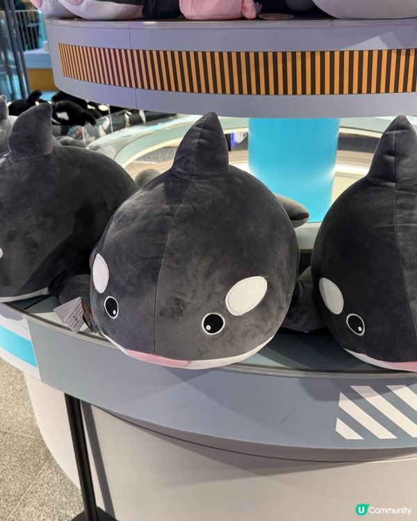 全球最大室內遊樂場！珠海飛船樂園（2024年開業）