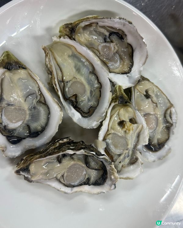 任饮任食99元
