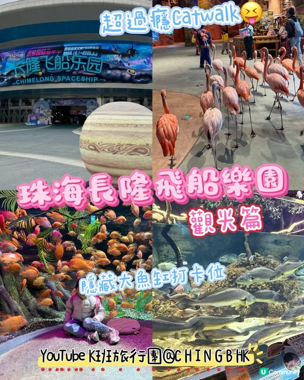 🐠 珠海長隆飛船樂園必睇觀光景點👍🏼👍🏼