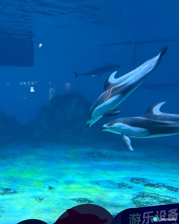 🐠 珠海長隆飛船樂園必睇觀光景點👍🏼👍🏼