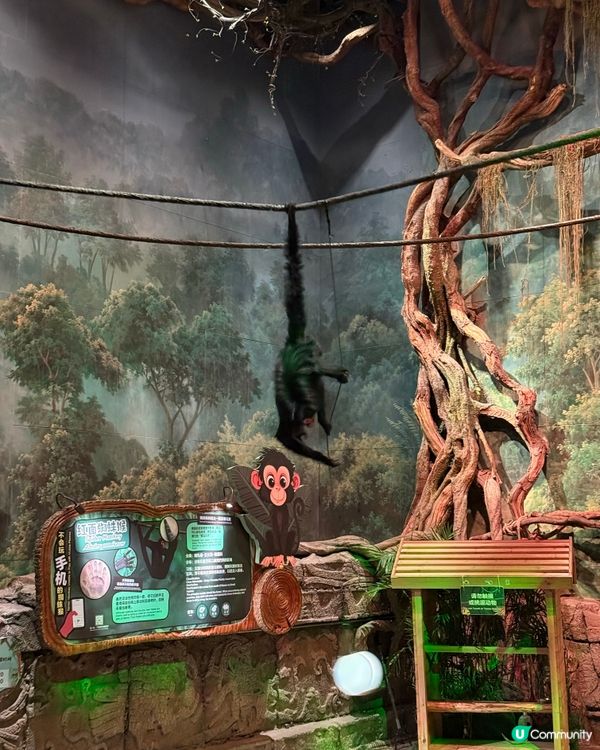 🐠 珠海長隆飛船樂園必睇觀光景點👍🏼👍🏼