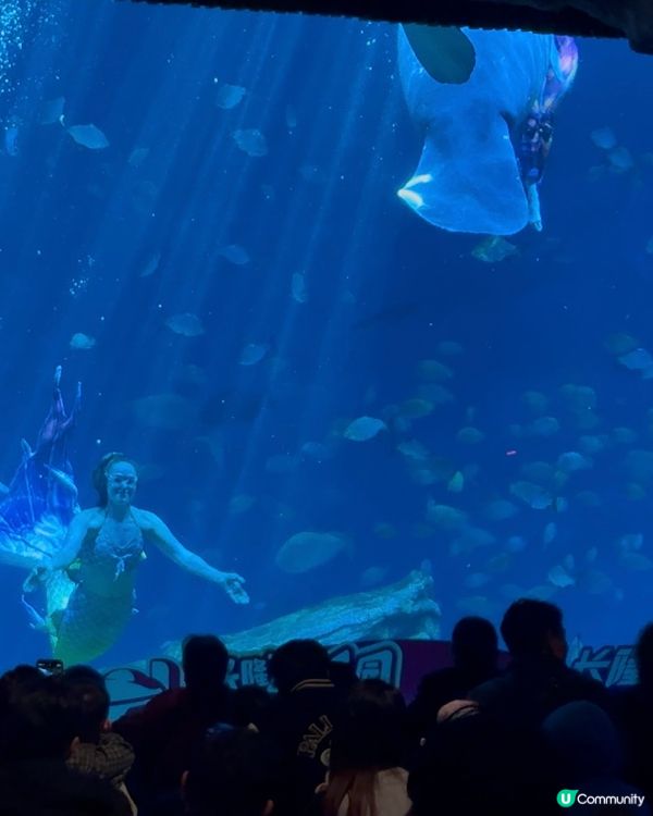 🐠 珠海長隆飛船樂園必睇觀光景點👍🏼👍🏼