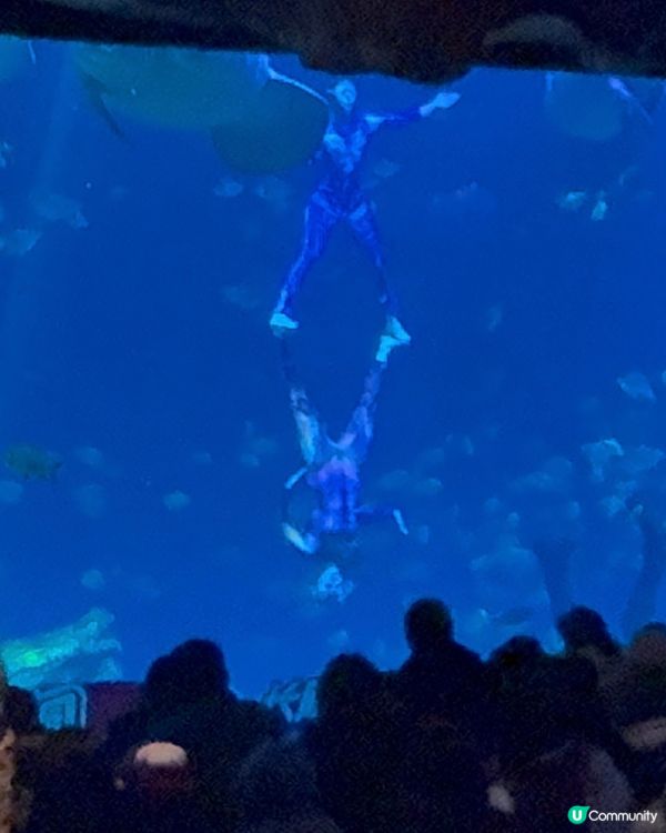 🐠 珠海長隆飛船樂園必睇觀光景點👍🏼👍🏼