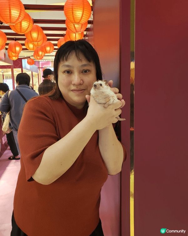 香港第1個可以帶任何寵物嘅商場，