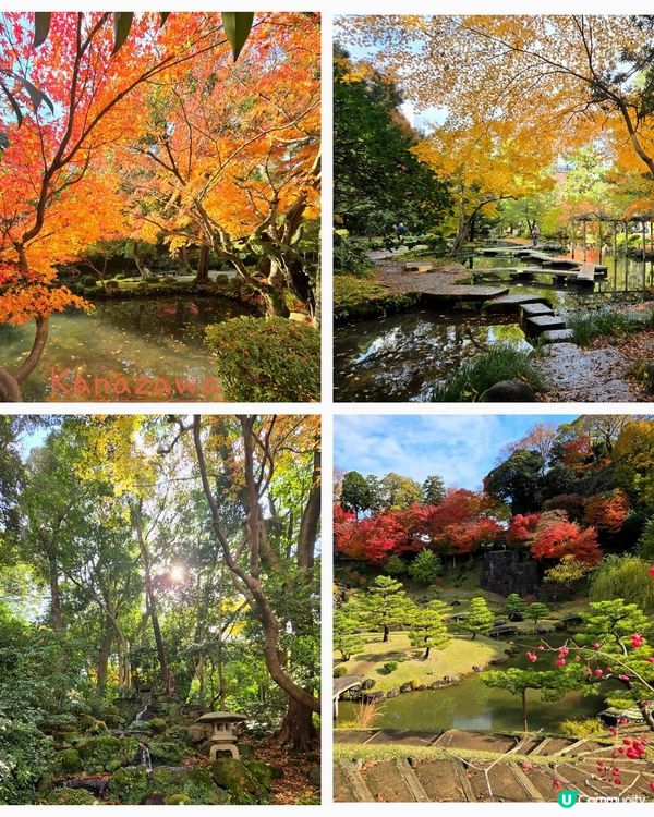 金澤古都遊，感受江戶風情🏯！