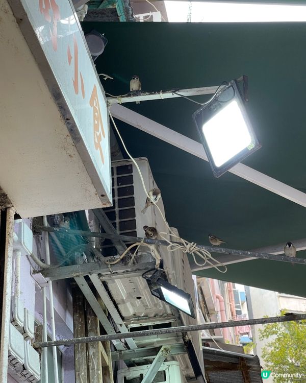 筲箕灣掃街美食