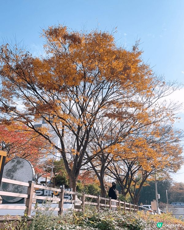 韓國嘅釜山打卡真係好靚好正😆😆超級推薦去小王子嘅甘川文化村同...