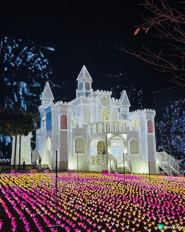 日本🌸🌸打卡公園  「世界10大夢幻旅遊景點」的足利花卉公園...