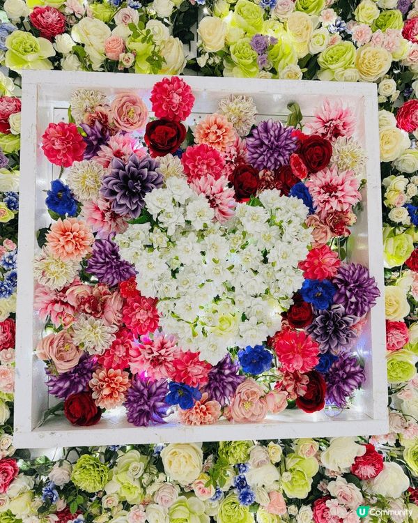 日本🌸🌸打卡公園  「世界10大夢幻旅遊景點」的足利花卉公園...