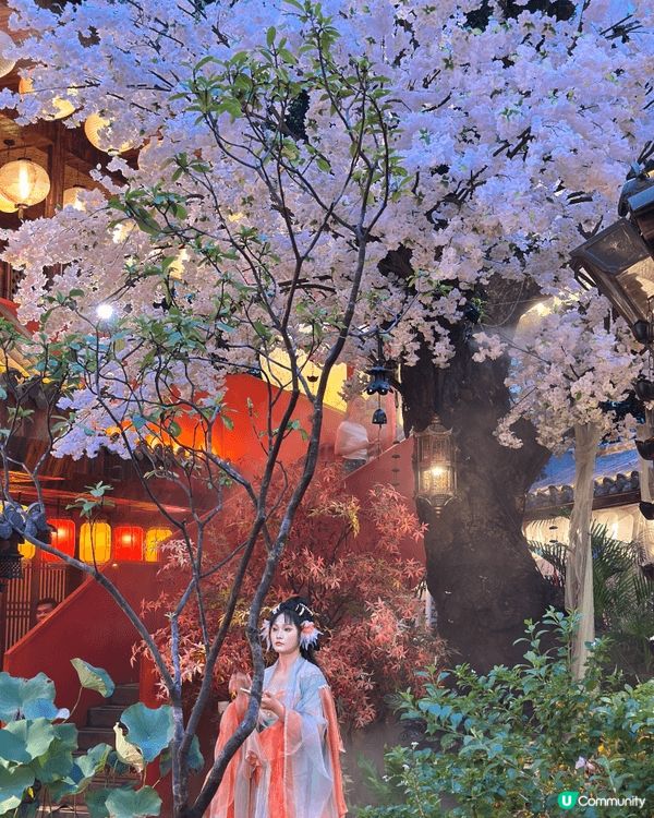 一向都好鍾意漢服嘅我，係深圳發現咗呢間以盛唐長安街景為主題✨...