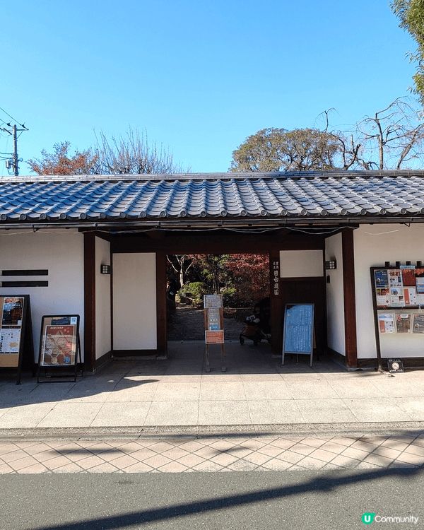 目白庭園免費入場，中央是一個大池子，四周隨處都可以看到別緻的...