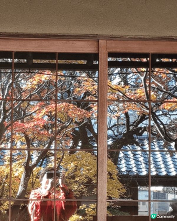 目白庭園免費入場，中央是一個大池子，四周隨處都可以看到別緻的...