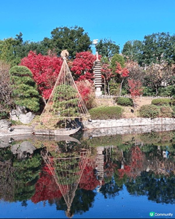 目白庭園免費入場，中央是一個大池子，四周隨處都可以看到別緻的...